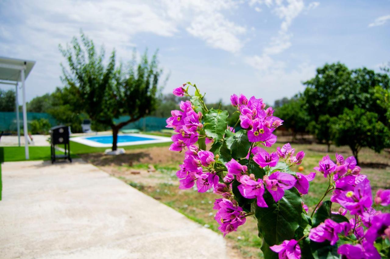 Villa La Casa Del Carreron Montilla Exterior foto