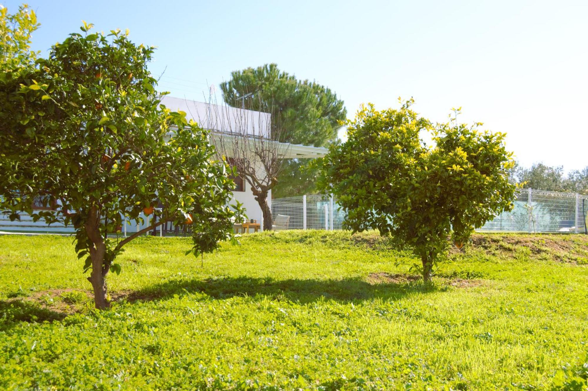Villa La Casa Del Carreron Montilla Exterior foto